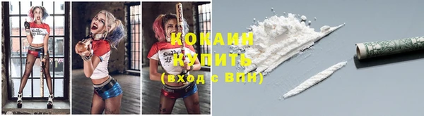 прущие крисы Алексин