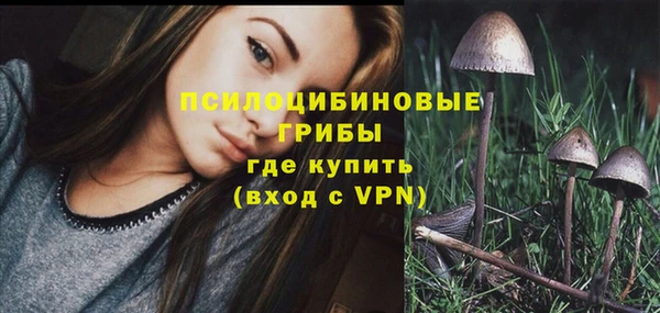 прущие крисы Алексин