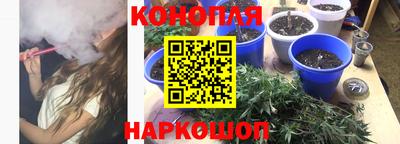 гидра Усть-Джегута