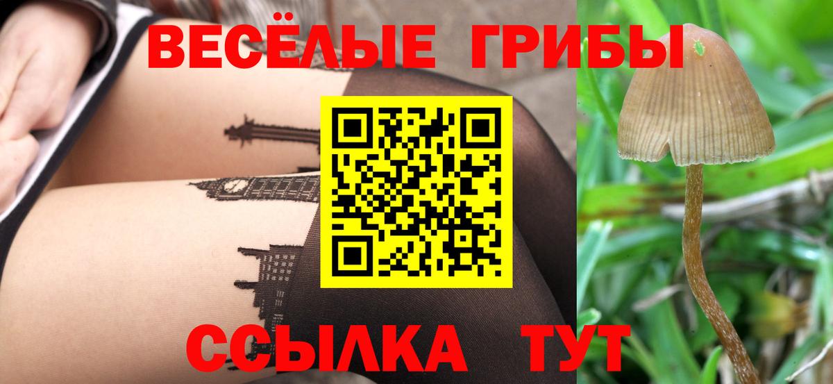 Псилоцибиновые грибы мухоморы  Вход с VPN  Слободской 